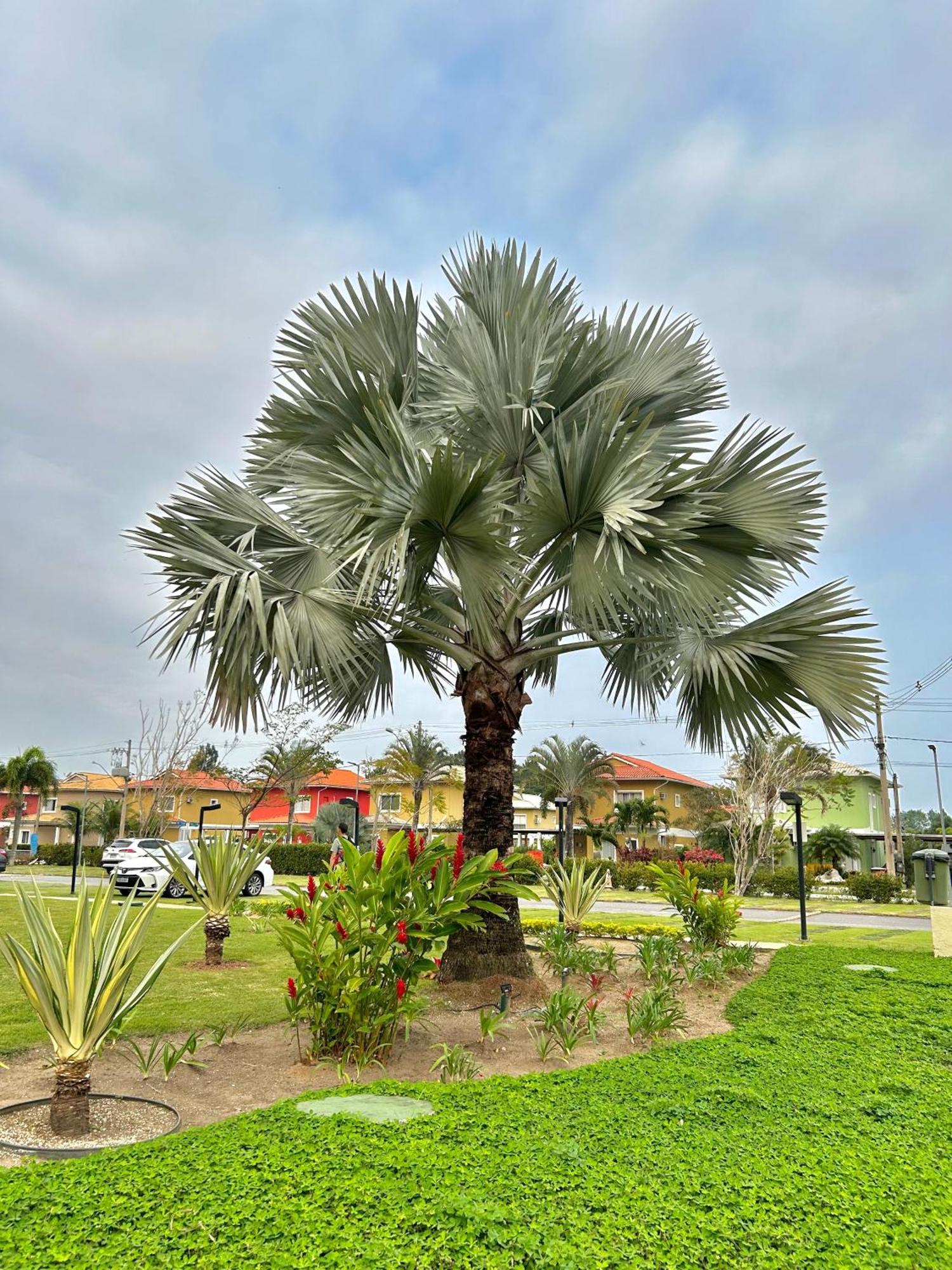 Condominio Aldeia Dos Reis Mangaratiba Buitenkant foto